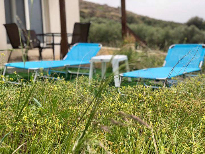 Villa Oniro Kreta Kalamaki  Extérieur photo
